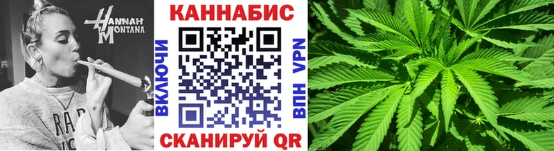 APVP Грязовец