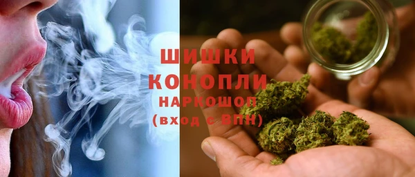 МДПВ Бронницы