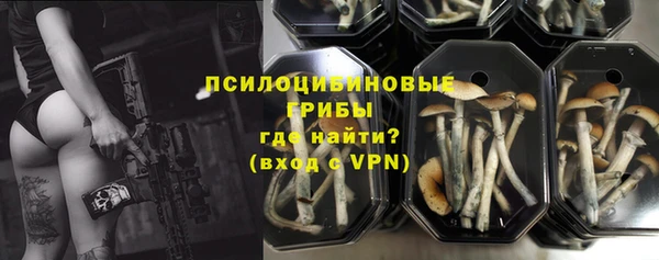 ГАЛЛЮЦИНОГЕННЫЕ ГРИБЫ Богданович