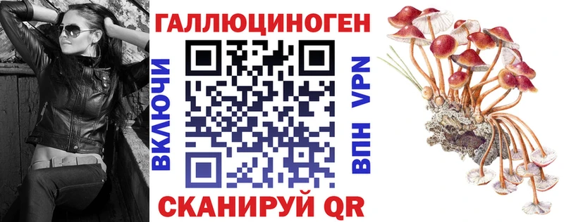 Галлюциногенные грибы Magic Shrooms  кракен как войти  Грязовец 