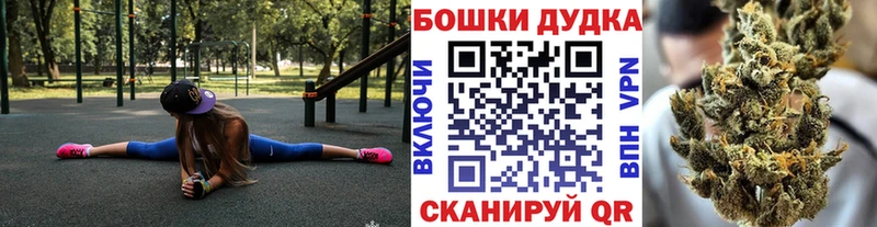 как найти наркотики  Грязовец  Каннабис семена 